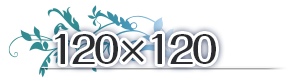 120*120