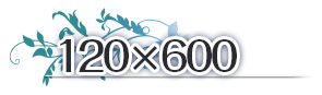 120*600