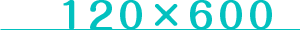 120*600