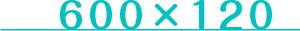 600*120