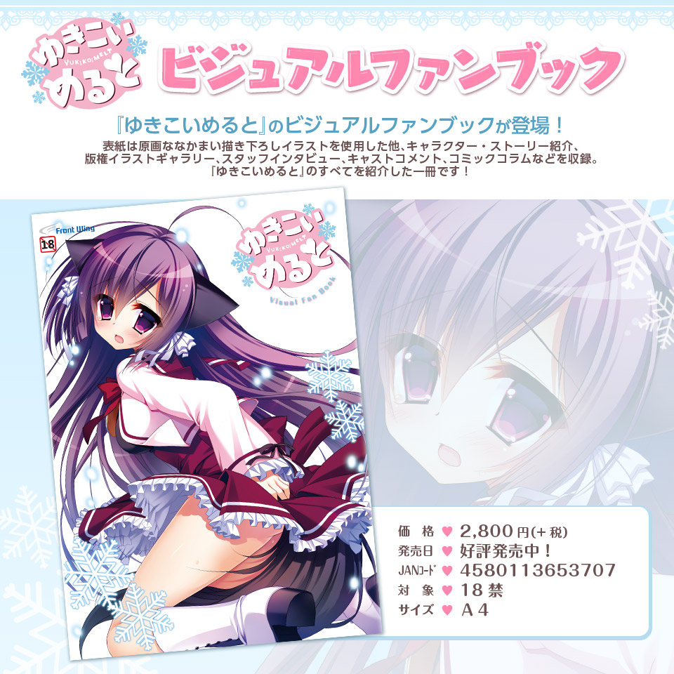ビジュアルファンブック